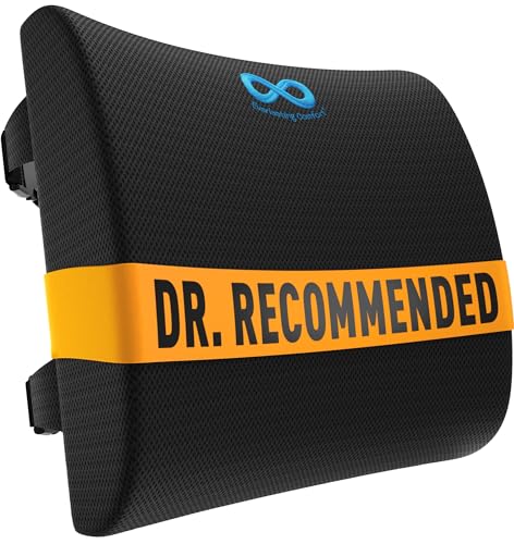 Everlasting Comfort The Original Lumbar Support Pillow for Office Chair - Improves Posture, Promotes Back Pain Relief - Superior Back Support for Gaming and Desk Chairs - Lumbar Pillow for Car, Couch