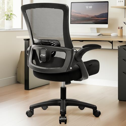 NEO CHAIR Office Desk Chair High Back Mesh Chair Adjustable Lumbar, Black