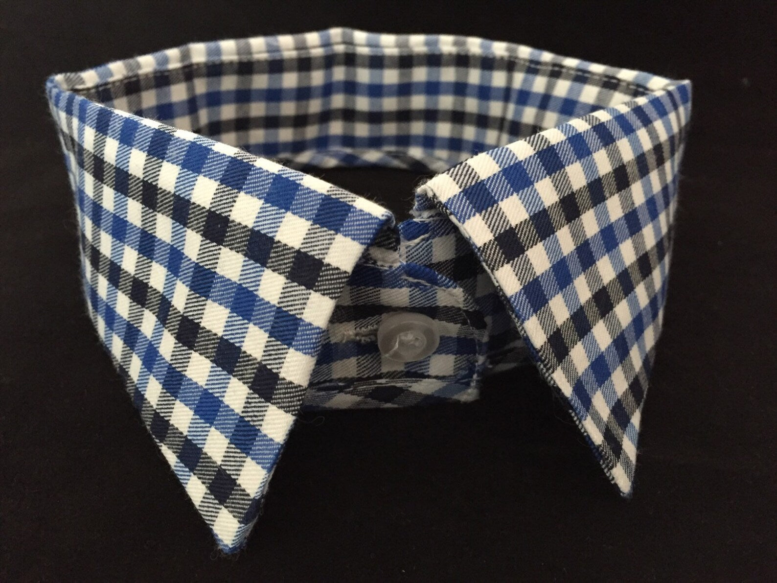 Designer Dress Shirt Collar for Your Handsome Dog