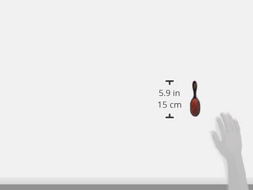 Mason Pearson Brothers Handy Mixture Bristle/Nylon Mix Hair Brush BN3, 1 Count