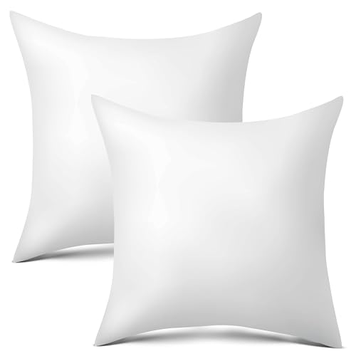 raajsee 16x16 Pillow Inserts Set of 2, Firm nd Fluffy Down Alternative Throw Pillows for Couch, Pillow Stuffing for Couch Sham Filler, Sofa Pillow from 16x16, Throw Pillow Inserts 16 x 16