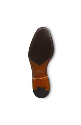 Allen Edmonds Men's Eli Fashion Leather Penny Loafer Chili Leather 12 D