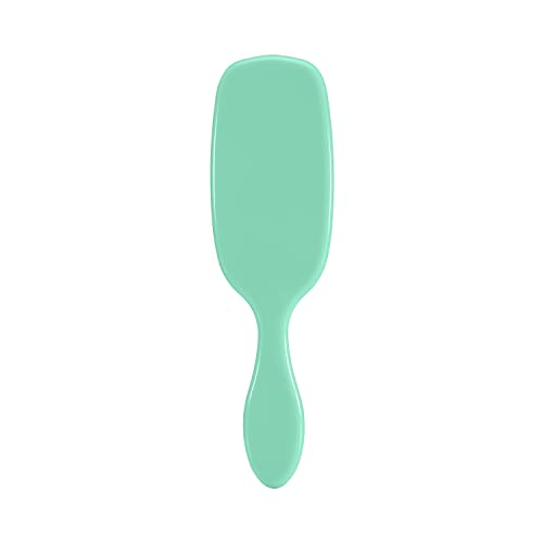 Wet Brush Shine Enhancer Aqua - Natural Boar With Ultra-Soft IntelliFlex Leaves Shiny And Smooth For All Types - For Women, Men, Wet & Dry