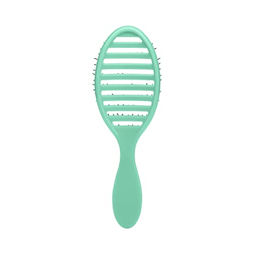 Amazon Exclusive Wet Brush Speed Dry - Aqua