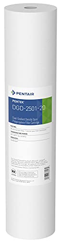 Pentair Pentek DGD-5005-20 Big Blue Water Filter & Pentek RFFE20-BB Big Blue Water Filter, 20-Inch, Whole House Radial Flow Iron Reduction Replacement Cartridge, 20" x 4.5", White