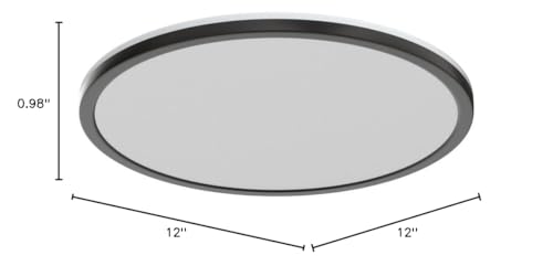 Matane 12in LED Flush Mount Ceiling Light Fixture with Remote Control, Nightlight 2000K Warm, 3000K-6500K Adjustable, Wired Low Profile Ceiling Lights for Bedroom, Kitchen, Living Room, White
