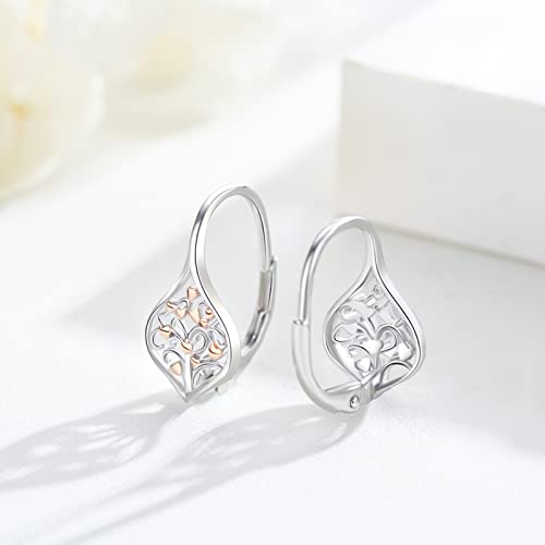 Dragonfly Earrings 925 Sterling Silver Small Dragonfly Leverback Cute Dangle Hoop Earrings Dragonfly Jewelry for Women Teen Hypoallergenic Earrings for Sensitive Ears