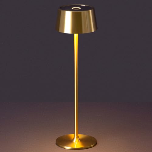 DAWALIGHT Cordless Lamp 4000mAh Rechargeable tbale lamp LED Desk Lamp Tempered Glass Stepless Dimming Black and Gold Battery Operated Portable Cordless 2700K Gold Base