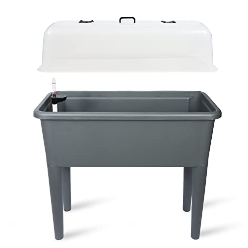 Dexceder 13.2 Gallon Self Watering Raised Garden Bed with Ventilation Transparent Lid Greenhouse, Deepen Vegetable Flower Box Planter Pot with Removeble Legs & Water Level Indicator (Deep Gray)