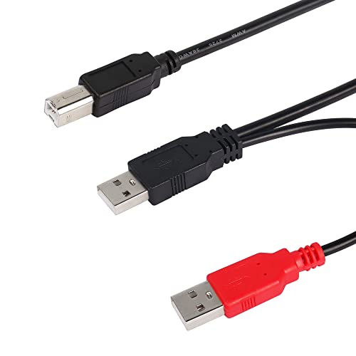 CERRXIAN Dual USB Type A 2.0 Male to USB B Data Y Cable for Printer, Scanner,External Hard Disk Drive,Dj Controller (0.8m Black)