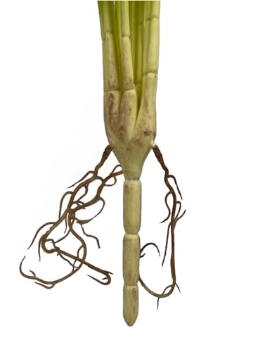 Mythlty 2 Artificial Tropical Monstera Plants Real Touch for Pot or in Vases Fake Plant with Stems and Roots Faux Greenery Wall Decor for Indoor Outdoor Home Office (Monstera)