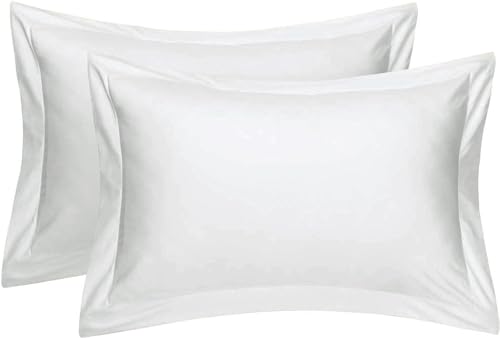 Hotel Quality White Solid Pinch Pleated Pintuck Euro Pillow Shams Set of 2 - Hypoallergenic 500-TC 100% Egyptian Cotton Decorative Pintuck European Pillow Sham (Silver, Euro 28'' x 28'')