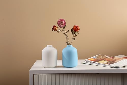LSBTAUCP- Home Decoration Ceramic Vases, Ceramic Vases, Dried Flower vases, Living Room Decoration, Flower Arrangement Decoration Shooting Props, Coffee Table Decoration, Best Gift( (Blue)