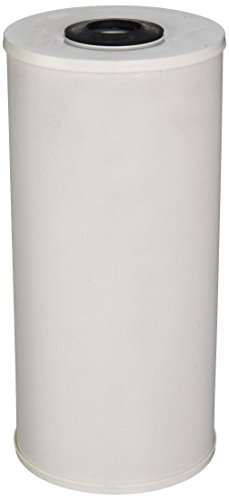 Pentair Pentek RFFE20-BB Big Blue Water Filter, 20-Inch, Whole House Radial Flow & Pentair Pentek 150233 Big Blue Filter Housing, 1" NPT #20 Whole House Heavy Duty Water Filter Housing