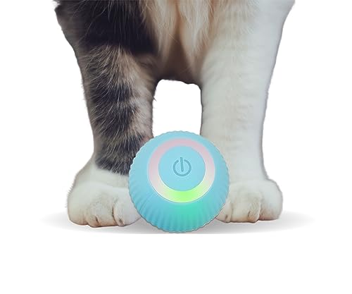 Found Notice Cat Ball Toy, Interactive Cat Toys, Automatic Motion Activated Moving Ball Hide and Seek Game for Indoor Exercise,Gifts for Kittens