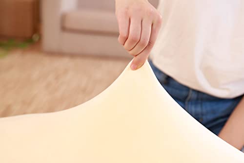 TONGSONG 8 Inch Long Plush Tabby Cat Stuffed Animal Tabby Cat Hugging Pillow Cuddly Tabby Cat Pillow Plushies Toy Tabby Cat Huggable Anime Gifts for Kids and Lovers in Birthday, Valentines, Christmas