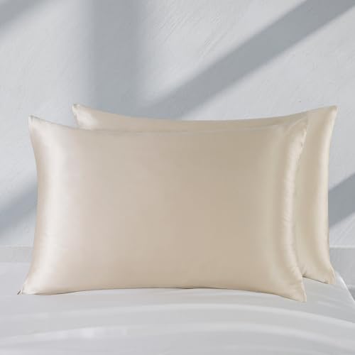 ZIMASILK Upgraded 100% Pure Mulberry Silk Pillowcase for Hair and Skin Silk Pillow Cases with Reinforced Hidden Zipper, More Soft & Durable Highest Grade 6A Silk, Gift Box 1Pc (King 20"x36", Pewter)
