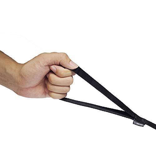 Siumouhoi Strong Durable Nylon Dog Training Leash, 1 Inch Wide Traction Rope, 6 ft 10ft 15ft Long, for Small and Medium Dog (Black, 6 Feet)