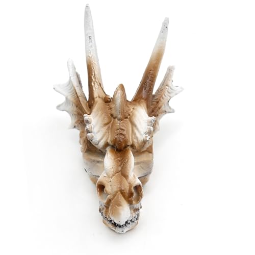 DUZFOREI Reptile Hideouts Terrarium Decor, Aquarium and Fish Tank Decorations Fish Tank Accessories Reptiles Hideout Habitat Aquarium Decor (Dragon Imitation Skull Model)