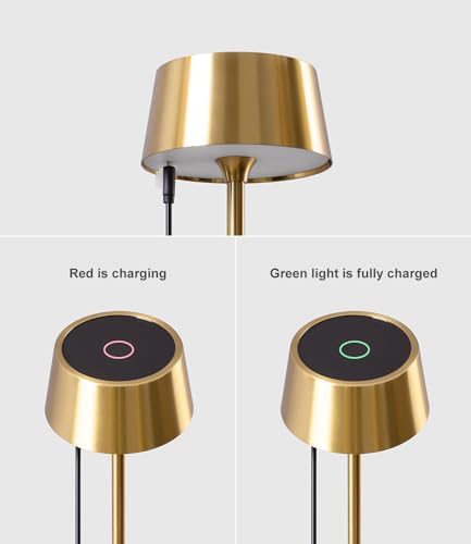 DAWALIGHT Cordless Lamp 4000mAh Rechargeable tbale lamp LED Desk Lamp Tempered Glass Stepless Dimming Black and Gold Battery Operated Portable Cordless 2700K Gold Base