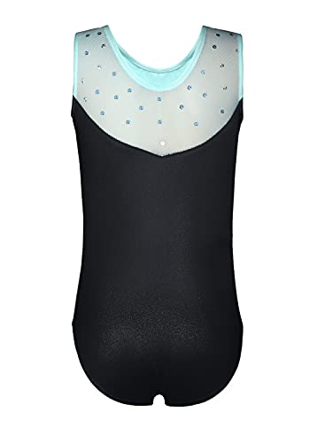 HOZIY Leotards for Girls Gymnastics 3t 4t Toddlers Black Blue Rose Ballet Dance Unitard