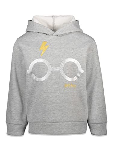 Harry Potter Little Boys Fleece Pullover Hoodie Blue 4