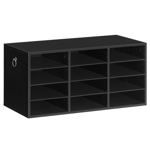 HOOBRO Countertop Mail Sorter, Wooden Literature Organizer, Student Mailbox for Classroom, Desktop Organizer for Office Home School, 12 Compartments Black BK43WF01