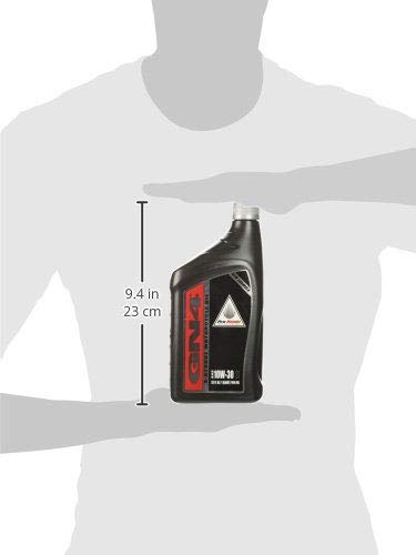 Honda Pro Honda GN4 Motor Oil - 10W30-1 Quart/-