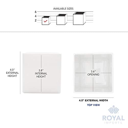 Royal Imports Flower Acrylic Vases Cubes - Decorative Centerpiece for Home or Wedding - Non Breakable Plastic, 4" - White