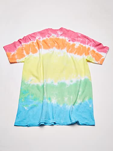 Liquid Blue Men's Woodstock Banded Tie Dye Short Sleeve T-Shirt, Multi, Medium