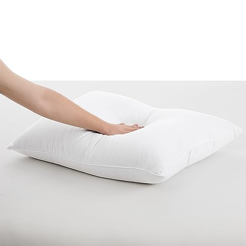 UGG 32238 Aimee Standard Basic Cooling Technology Bed Pillow and Sham Cover for Twin Full Queen Size Hypoallergenic Down Alternative Machine Washable Bedding Pillows, Standard, White, 20X28 inch
