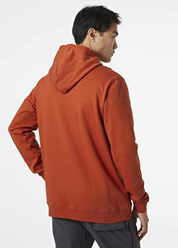 Helly-Hansen Men's Nord Graphic Pull Over Hoodie, 787 Lynx