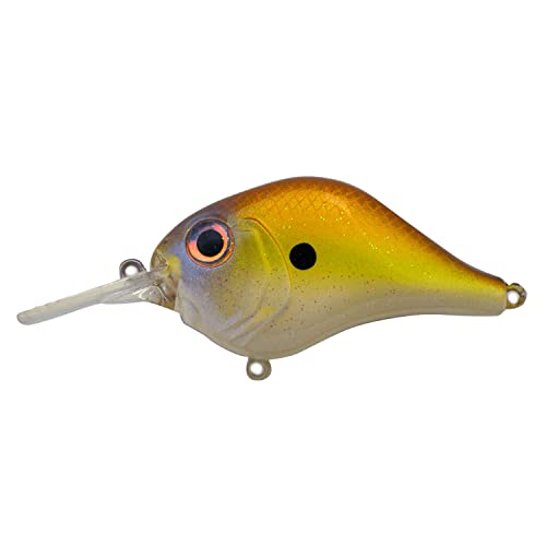 Bill Lewis Lures Lifelike MR-12 Mid-Range MDJ Series 12Ft Floater Diver 3/4 OZ Crankbait Fishing Wobble Lure for Freshwater, Sneaky SHAD