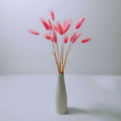 Bunny Tails Dried Flowers, 17inch Natural Rabbit Tail Grass, Boho Lagurus Ovatus Eternal Florals for Wedding, Home Centerpieces Decoration, Flower Arrangements, Photo Props (Pink 50pcs)