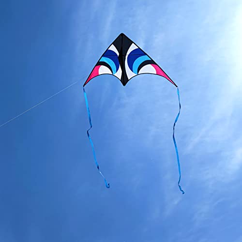 Kaiciuss Delta Kite for Kids & Adults Easy to Fly Large, Sing Line for Beginners, Easy Flying Kite for Boys & Girls with 4 Ribbon and 300 ft String Handle