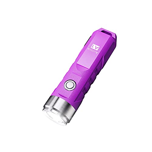 RovyVon Aurora A1 G4 USB C Rechargeable Mini Flashlight, Small Bright Keychain Flashlight 650 High Lumens EDC Flashlight Gadget with Clip for Camping, Hiking, Emergencies (Blue)