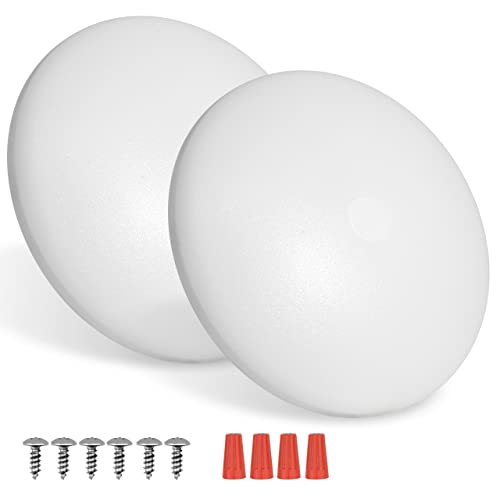 RVZONE 2 Pack RV LED Ceiling Puck Light RV Boat Interior Light DC 12V Surface Mount Ceiling Dome Light, 4.5W Panel Downlight for Camper Van Travel Trailer Motorhome(Cool White)