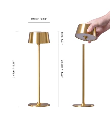 DAWALIGHT Cordless Lamp 4000mAh Rechargeable tbale lamp LED Desk Lamp Tempered Glass Stepless Dimming Black and Gold Battery Operated Portable Cordless 2700K Gold Base