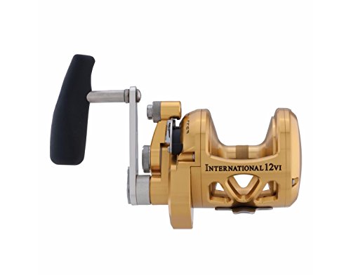 Penn INT12VI International VI Single Speed Fishing Reel