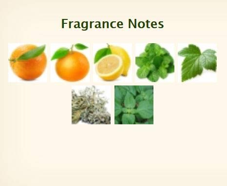 Hermès Soap - Eau d'Orange Verte Luxury Perfumed Gift Boxed Soap Imported From Hermès Paris - Citrus and Mint Fragrance - 3.5 Ounces / 100 Grams - Gift Boxed Perfumed Soap / Savon Parfume