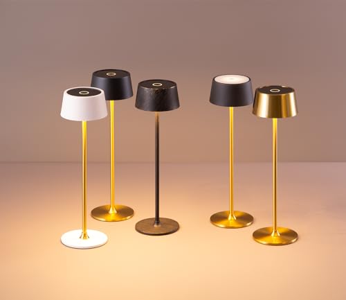 DAWALIGHT Cordless Lamp 4000mAh Rechargeable tbale lamp LED Desk Lamp Tempered Glass Stepless Dimming Black and Gold Battery Operated Portable Cordless 2700K Gold Base