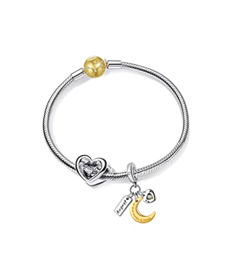 PHCLASY Heart Birthstone Charms 925 Sterling Silver with Cubic Zirconia Dangle Women's Bead Charms fit Bracelets and Necklaces,December