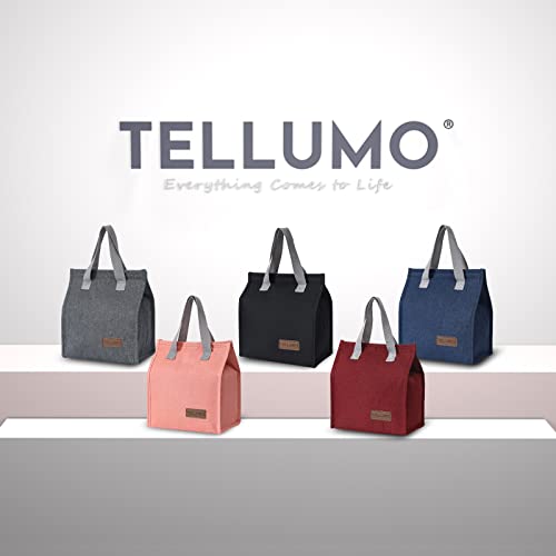 TELLUMO Lunch bag, Insulated Lunch Bag for Women Men Large Lunch Box Container Reusable Leakproof Tote for Office, Work, School, Beach or Travel (S- Corduroy BlackClub)