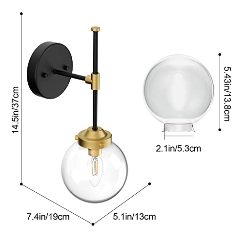 Ralbay Black Gold Wall Sconce Indoor Industrial Globe Wall Light Fixture Clear Glass Globe Wall Lamp for Bathroom Kitchen Living Room Vanity Hallway (Exclude Bulb