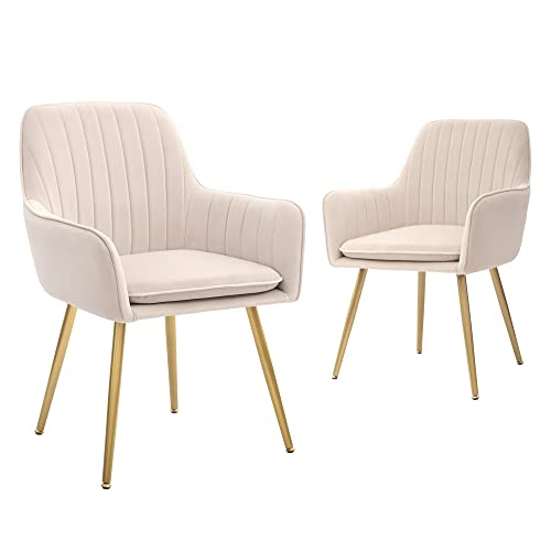 CangLong Dining Chairs Set of 2, Mid Century Modern Dining Room Chairs, Upholstered Velvet Dining Chair with Metal Legs, Vanity Chairs, Accent Chair for Kitchen, Living & Dining Room, Beige