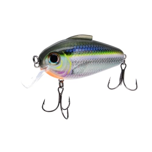 Bill Lewis Lures Lifelike Echo 1.75 Squarebill Crankbait Fishing Wobble Lure for Shallow Freshwater Saltwater, Sexy Chrome