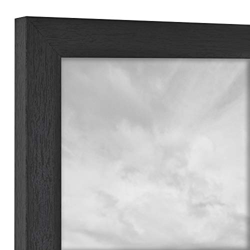 MCS Trendsetter 24x30 Poster Frame & Studio Gallery 20x27 Photo Frame Bundle