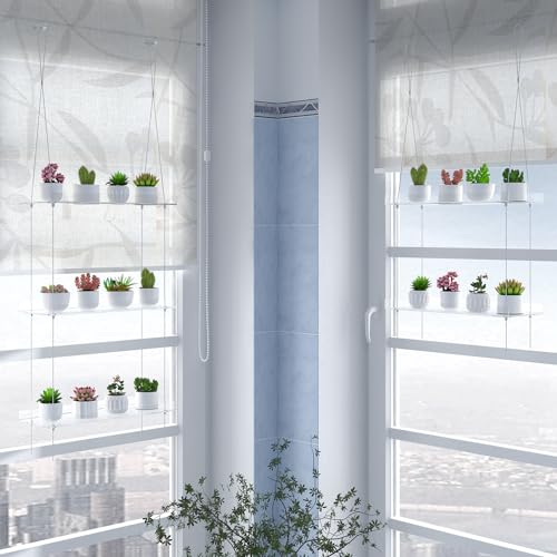 airogym 2-Tier Acrylic Plant Shelves for Window of Kitchen, 16 Inch Window Wall Clear Hanging Plant Stand, Height Adjustable Hanging Shelves for Indoor Window Plants, Succulents Flower Pots Organizer