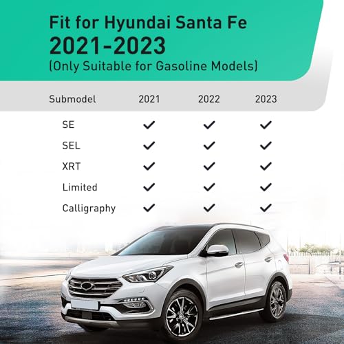 DiffCarยฎ Floor Mats for Hyundai Santa Fe 2023 2022 2021 (Gasoline Models ONLY), Cargo Trunk Liner All-Weather TPE Floor Protectors, for Santa Fe 2021-2023 Interior Accessories (Floor Mats+Cargo Mat)