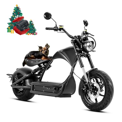 eAhora 4000W M1P Pro (2025 Upgrade) 50MPH Electric Motorcycle, 60V 42ah Battery, 55 Miles Range, Dual Suspension Dual Hydraulic Brakes,Street Legal